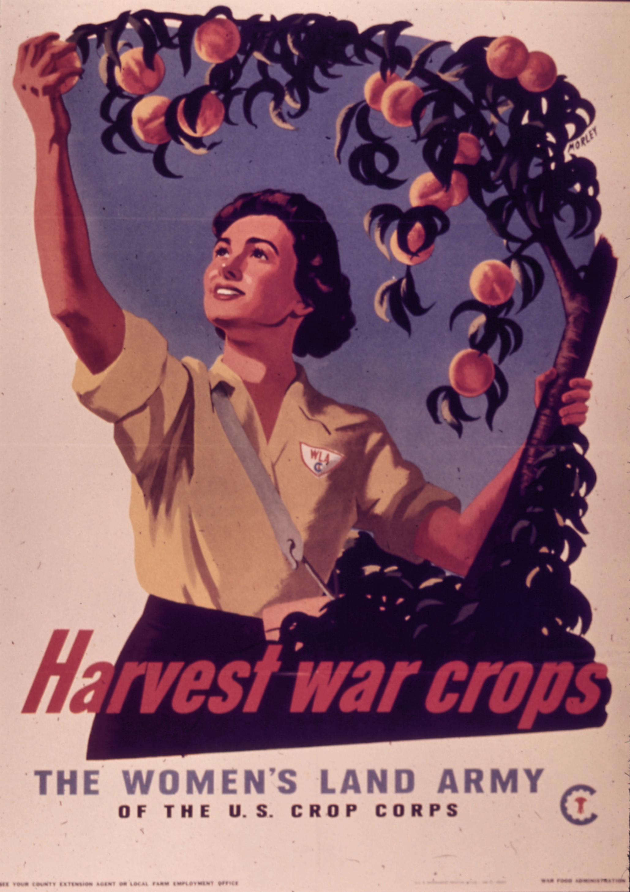 Harvest War Crops WLA Recruiting Poster